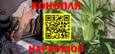 соль ск Будённовск