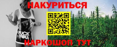 соль ск Будённовск