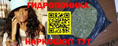 соль ск Будённовск