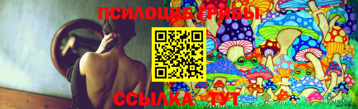 Псилоцибиновые грибы GOLDEN TEACHER  Вход с VPN  Тихвин 